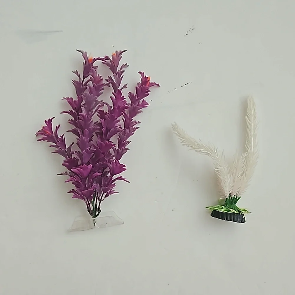 Aquarium or fish tank plants